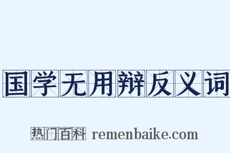 国学无用辩反义词是什么意思的图片